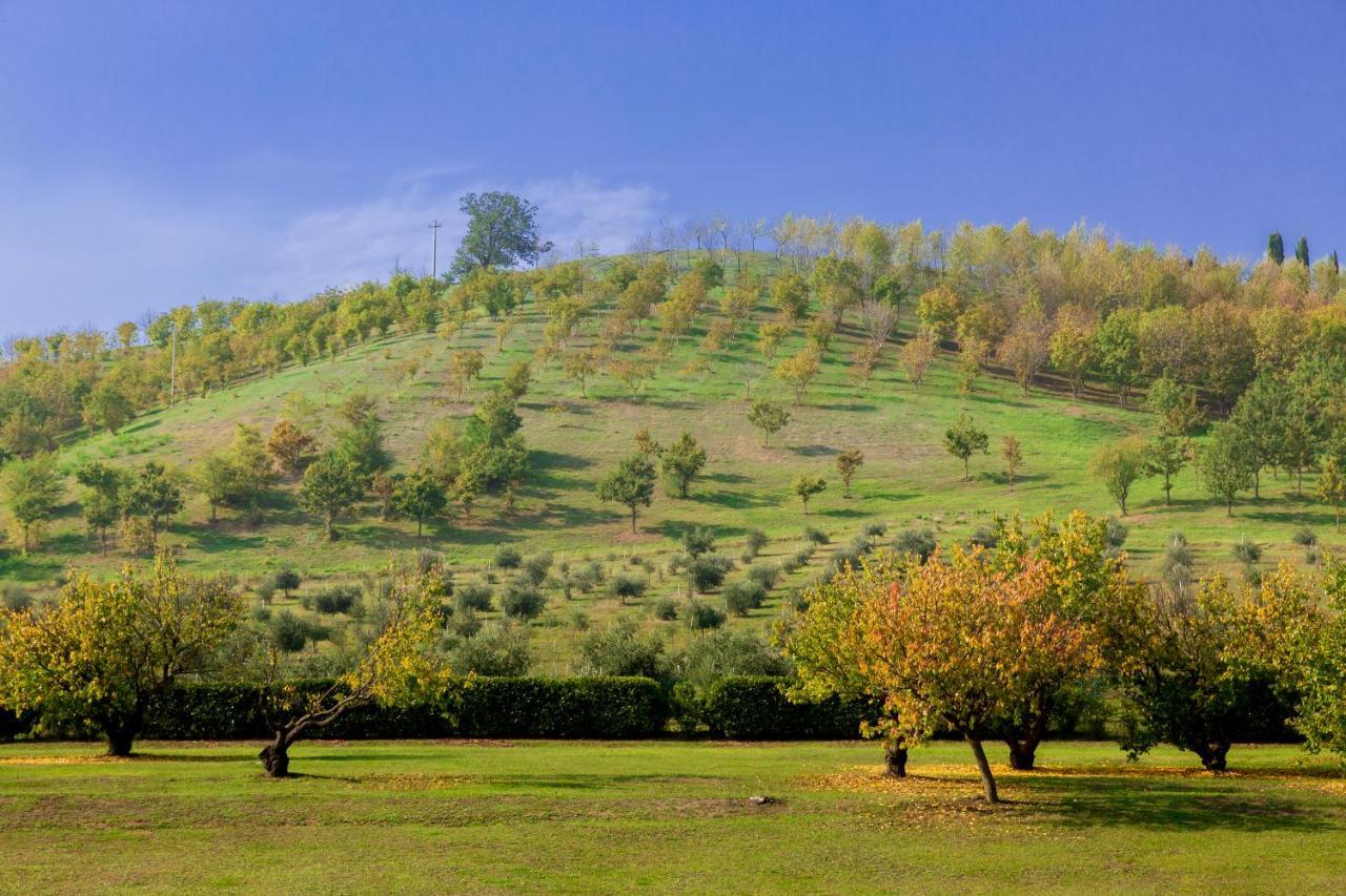 Ca' Malvasia - Bolognarooms Montecchio  Exterior foto